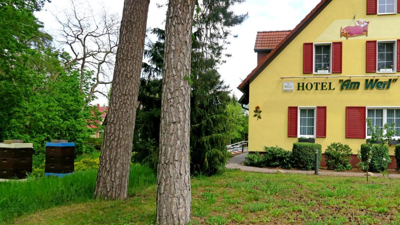 Hotel "Am Werl" Bad Saarow Kültér fotó